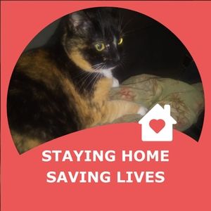 Meet your Posher, Joan